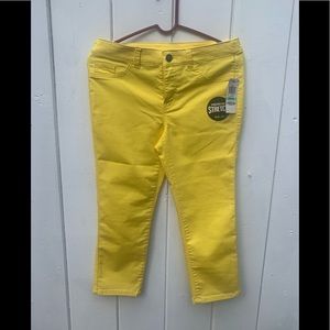 Cropped size 8 petite style and co stretch jeans